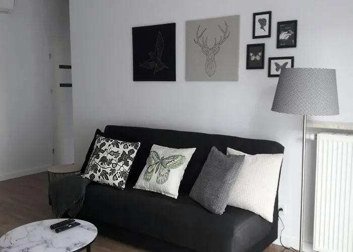 Apartment Lux Close To Medicover And Paley